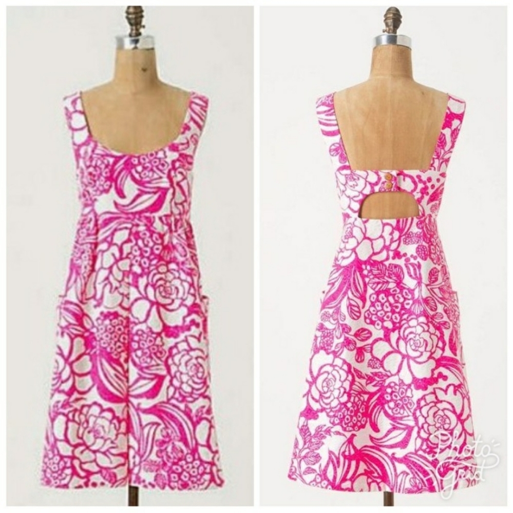 Anthropology garden part dress
